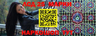 шишки Краснодар